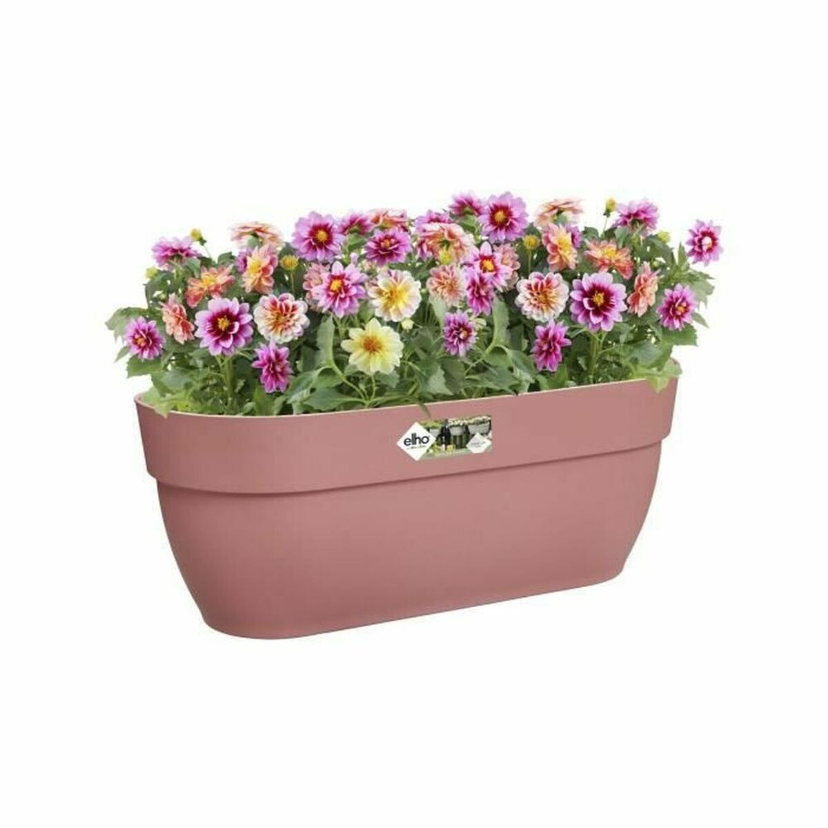 8711904498047 - Hanging Pflanzer Pink