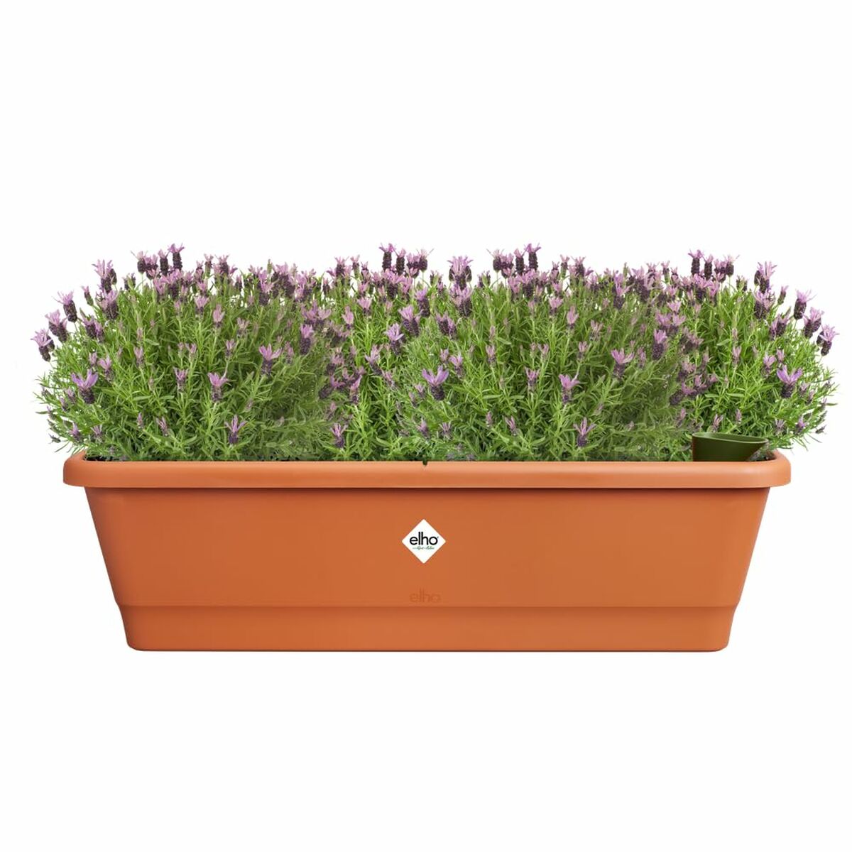 8711904527488 - Blumentopf Braun 65 x 20 x 18 cm Kunststoff karriert 8711904527488 - Blumentopf Braun 65 x 20 x 18 cm Kunststoff karriert