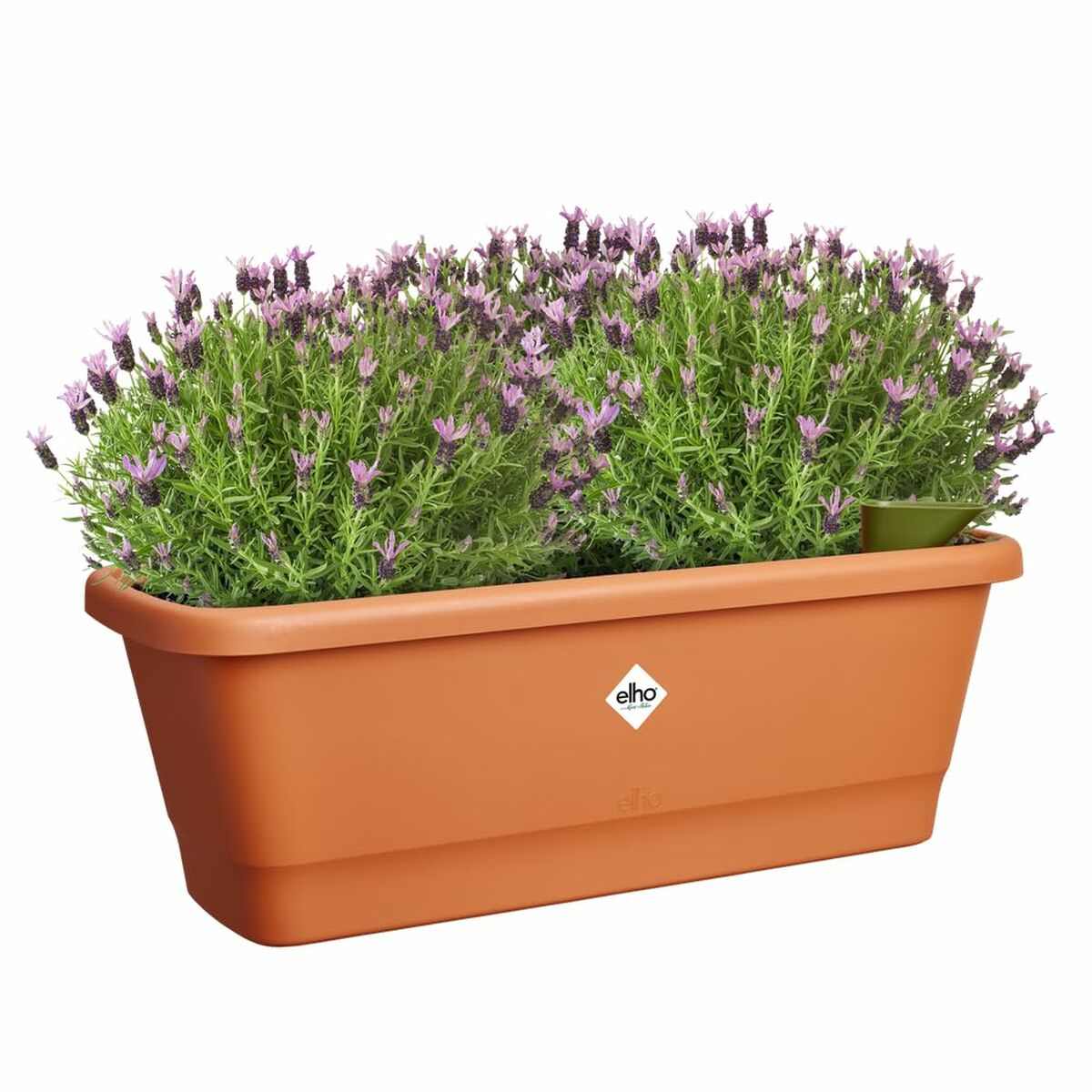 8711904527556 - Blumentopf Braun Kunststoff Moderne
