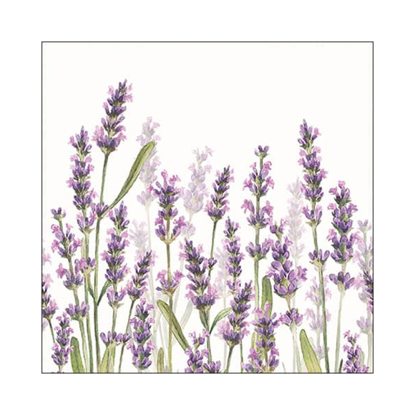 8712159176421 - Motivserviette 33x33cm Lavendel 8712159176421 20 Stück
