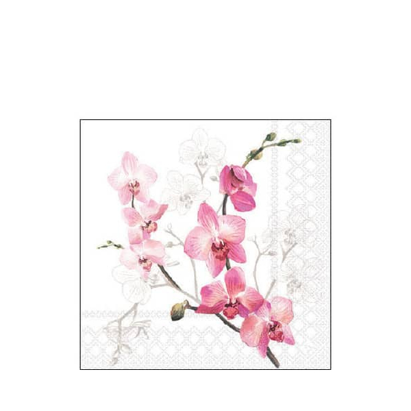 8712159188516 - Motivserviette 25x25cm Orchid 8712159188516 AMBIENTE