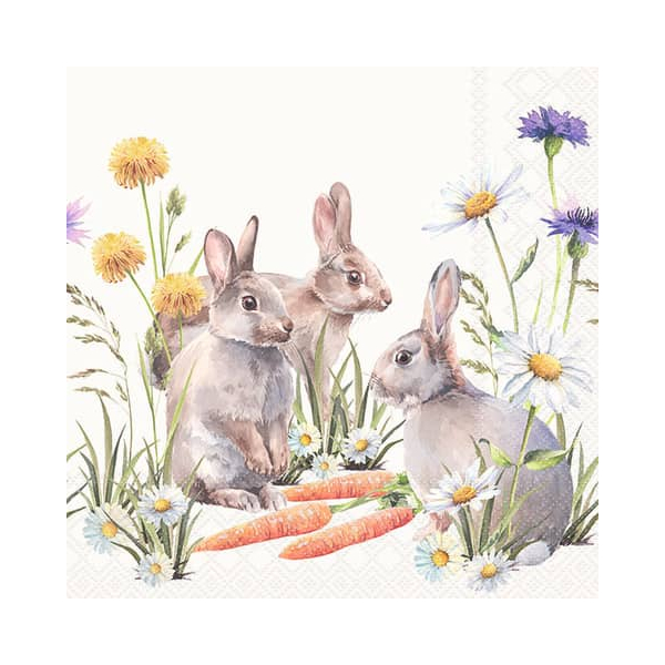 8712159191783 - Frühjahrsserviette 33x33cm  Caroot 8712159191783 20 Stück