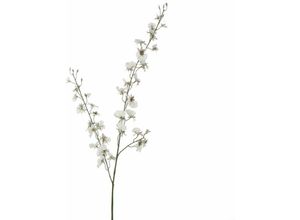 8712293112613 - - Mica künstliche Oncidium creme 78 cm Kunstpflanzen