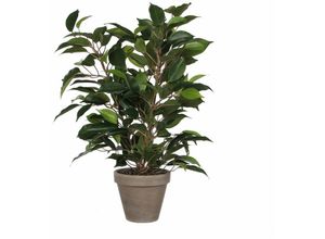 8712293303073 - Mica Decorations - Mica Kunstpflanze Ficus Natasja grün im Topf 40 x 30 cm künstliche Pflanze