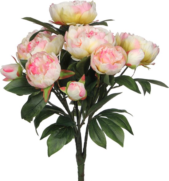 8712293376213 - Pfingstrose Künstlicher Blumenstrauß - H55 x Ø40 cm - Hellrosa 8712293376213 - Pfingstrose Künstlicher Blumenstrauß - H55 x Ø40 cm - Hellrosa