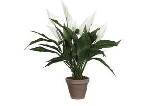 8712293477897 - - Mica Kunstpflanze Spathiphyllum weiß im Topf 115 x 50 x 40 cm Kunstpflanzen