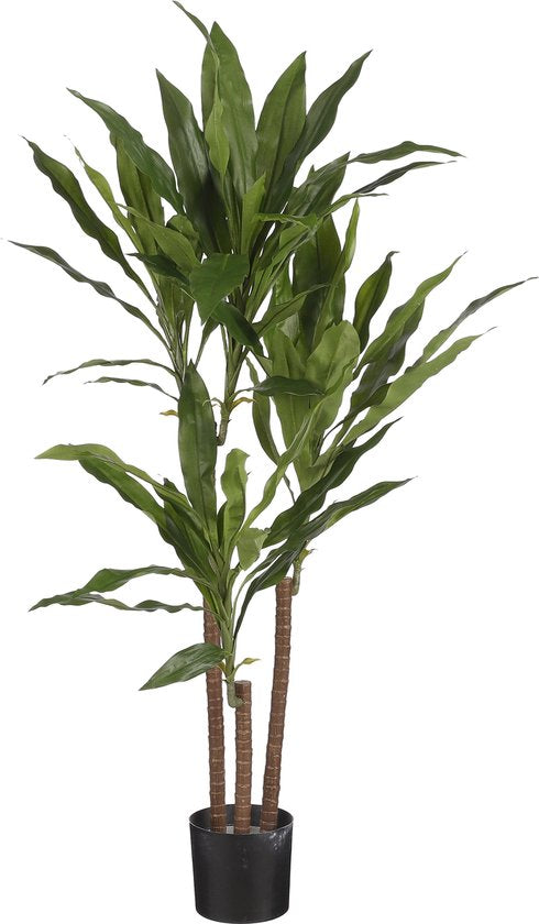 8712293661302 - Dracaena Künstliche Pflanze - H100 x Ø70 cm