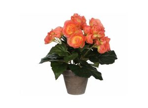 8712293770097 - - Mica Begonia im Topf lachs 25 x 20 cm Kunstpflanzen