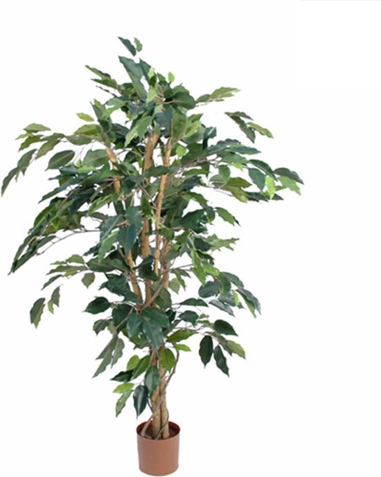 8712293801227 - Ficus Künstliche Pflanze - H110 x Ø65 cm - Grün