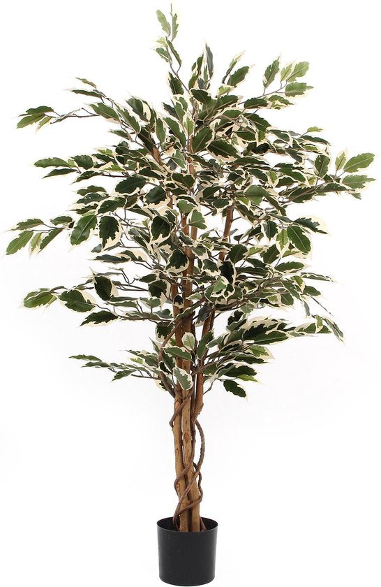 8712293811226 - Ficus Künstliche Pflanze - H110 x Ø70 cm - Grün Bunt