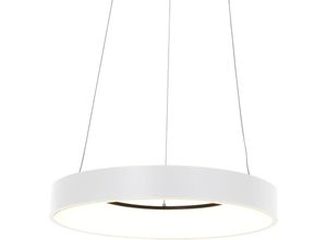 8712746132854 - Hängelamp Ringlede - glas - metall - 48 cm - Eingebaut (led) - 2695W - Glas - Steinhauer