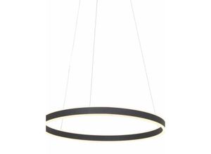 8712746166811 - Hängelamp Ringlux - metall - metall - 60 cm - Eingebaut (led) - 3502ZW - Metall - Steinhauer