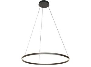 8712746171570 - Hängelamp Ringlux - metall - metall - 80 cm - Eingebaut (led) - 3675ZW - Metall - Steinhauer