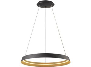 8712746171976 - Hängelamp Ringlux - metall - metall - 60 cm - Eingebaut (led) - 3692ZW - Metall - Steinhauer