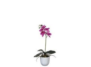 8712799475632 - - Mica Kunstpflanze Phalaenopsis im Topf violett 48 x13 cm Kunstpflanzen