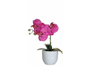 8712799476080 - - Mica Kunstpflanze Phalaenopsis im Topf violett 26 x 12 cm Kunstpflanzen