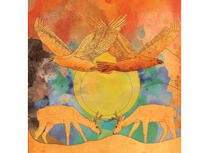 8713762011024 - Rain Plans - Israel Nash Gripka (CD)