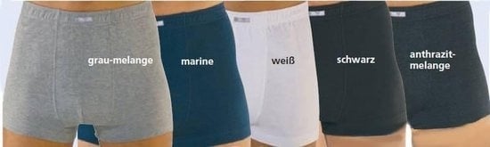 8714256124701 - Westfalia Boxershorts navy blau Größe 12