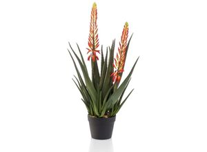 8714344354706 - Künstliche Aloe mit 2 Blumen 80 cm im Topf - Grün