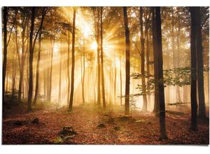 8714597380897 - Poster REINDERS Erleuchteter Wald Bilder Gr B H 915 cm x 61 cm 1 St braun Poster