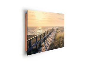 8714597513455 - Deco-Panel REINDERS Strandweg Bilder Gr B H 50 cm x 40 cm Querformat bunt (natur grün braun) Kunstdrucke Bilder