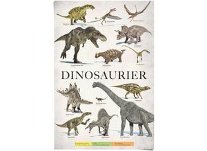 8714597539462 - Poster REINDERS Dinosaurier Bilder Gr B H 61 cm x 915 cm 1 St grün Poster