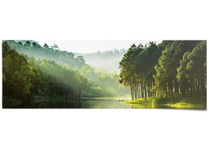 8714597554885 - Poster REINDERS Mystischer Waldsee grün (farbe bild(er) grün) B158cm H53cm Papier Bilder