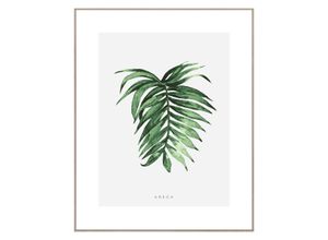 8714597577945 - Bild mit Rahmen REINDERS Areca Leaf Bilder Gr B H T 40 cm x 50 cm x 16 cm 1 St grün Bilder mit Rahmen