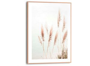 8714597598599 - Poster REINDERS Pampasgras Bilder Gr B H T 30 cm x 40 cm x 16 cm beige Poster