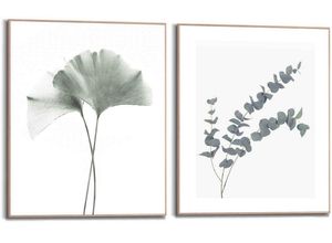 8714597612608 - Bild mit Rahmen REINDERS Eukalyptus blatt Pflanze Bilder Gr B H 40 cm x 50 cm Blätter 2 St grün Bilder mit Rahmen Ginko - Naturmotiv Botanisch