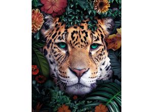 8714597615371 - Wandbild REINDERS Leopard Bilder Gr B H T 40 cm x 50 cm x 2 cm bunt Kunstdrucke