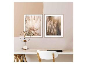 8714597617610 - Wandbild REINDERS Natur Botanisch - Pampas Löwenzahn Nahaufnahme Bilder Gr B H 40 cm x 50 cm 2 St grün (khaki) Kunstdrucke