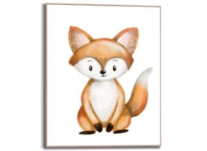 8714597625691 - Poster REINDERS Fuchs Bilder Gr B H T 40 cm x 50 cm x 16 cm braun Poster