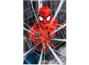 8714597629378 - Poster REINDERS Marvel Spiderman - gotcha Bilder Gr B H T 61 cm x 915 cm x 01 cm rot Poster