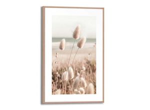 8714597636666 - Wandbild REINDERS Ziergras Bilder Gr B H T 20 cm x 30 cm x 16 cm beige Kunstdrucke