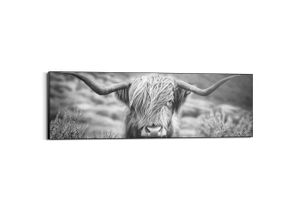 8714597637786 - Bild HIGHLANDER (BHT 156x52x3 cm) BHT 156x52x3 cm bunt Kunstdruck Gemälde Wandbild