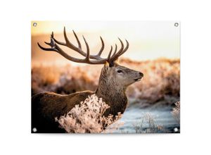 8714597638776 - Poster REINDERS Hirsch braun (farbe bild(er) braun) B80cm H60cm T01cm Leinwand Bilder Outdoor für Garten oder Balkon 8714597638776 - Poster REINDERS Hirsch braun (farbe bild(er) braun) B80cm H60cm T01cm Leinwand Bilder Outdoor für Garten oder Balkon