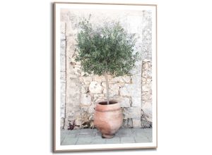 8714597655247 - Bild OLIVE TREE (BHT 50x70x220 cm)