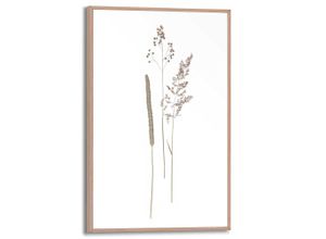 8714597655261 - Bild DRIED FLOWERS (BHT 20x30x160 cm)