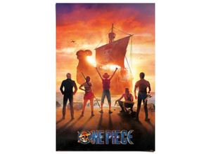 8714597658651 - Poster REINDERS One Piece - straw hat pirates orange (farbe bild(er) orange) B61cm H915cm T01cm Bilder