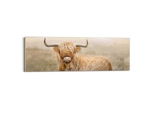 8714597664133 - Wandbild REINDERS Highlander Nature Bilder Gr B H T 52 cm x 156 cm x 3 cm braun