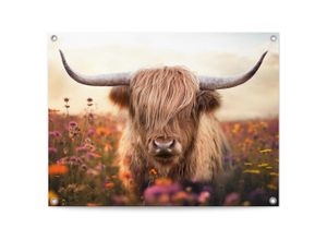 8714597665901 - Poster REINDERS Spring Highlander beige (farbe bild(er) beige) B80cm H60cm T01cm Bilder