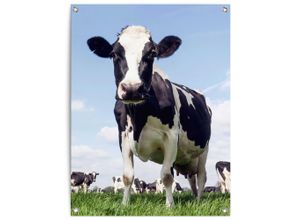 8714597665925 - Poster REINDERS Dutch Cow grün (farbe bild(er) grün) B60cm H80cm T01cm Bilder Garten - Kuh - Wiese - Grün - Leinwand - Tiere - 60x80 cm 8714597665925 - Poster REINDERS Dutch Cow grün (farbe bild(er) grün) B60cm H80cm T01cm Bilder Garten - Kuh - Wiese - Grün - Leinwand - Tiere - 60x80 cm