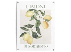 8714597665970 - Poster REINDERS Limoni gelb (farbe bild(er) gelb) B60cm H80cm T01cm Bilder