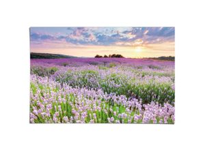8714597673623 - Poster REINDERS Lavendelfeld lila (farbe bild(er) lila) B915cm H61cm T01cm Bilder Hobbyraum - Lila - 150 gr Papier - Blumen und Pflanzen - 915x61 cm