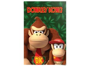 8714597674392 - Poster REINDERS Nintendo - Donkey Kong and Diddy Kong bunt (farbe bild(er) mehrfarbig) B61cm H915cm T01cm Bilder Kinderzimmer - Mehrfarbig - 150 gr Papier - Games - 61x915 cm