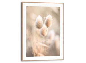 8714597680577 - Poster REINDERS Plumes beige (farbe bild(er) beige) B30cm H40cm T16cm Bilder Wohnzimmer - Grasfedern - Beige - MDF - Blumen und Pflanzen - 30x40 cm