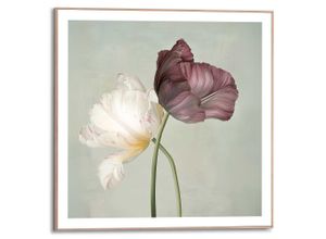 8714597681697 - Poster REINDERS Tulips grün (farbe bild(er) grün) B50cm H50cm T16cm Bilder
