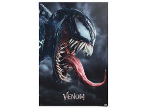 8714597685282 - Poster REINDERS Marvel - Venom legacy schwarz (farbe bild(er) schwarz) B61cm H915cm T01cm Bilder