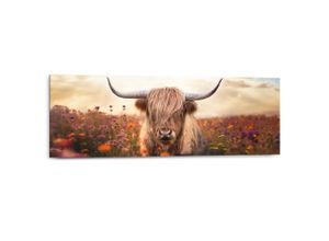 8714597685572 - Deco-Panel REINDERS Frühlingshochländer braun (farbe bild(er) braun) B90cm H30cm T2cm Bilder Wohnzimmer - Braun - MDF - Tiere - 90x30 cm